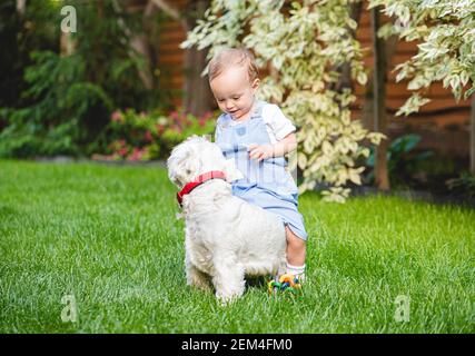 Petite petite fille jouant et barbotant avec le chien de chiot herbe verte de la pelouse de la cour le jour de l'été Banque D'Images