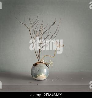 Composition avec plantes séchées dans un vase rond en céramique. Banque D'Images