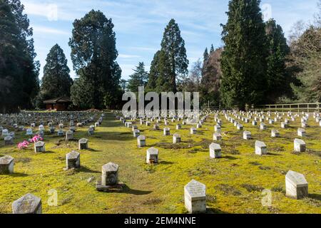 Le terrain du cimetière Ismaili, qui fait partie du cimetière Brookwood à Surrey, en Angleterre, au Royaume-Uni Banque D'Images