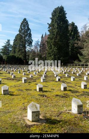 Le terrain du cimetière Ismaili, qui fait partie du cimetière Brookwood à Surrey, en Angleterre, au Royaume-Uni Banque D'Images