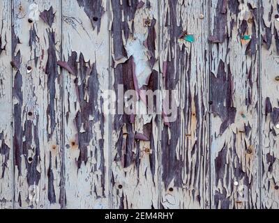 fond gris blanc en bois abîmé Banque D'Images