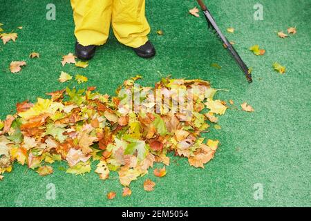 Vue en coupe basse d'une personne se trouvant près d'un tas de feuilles d'érable sèches Banque D'Images