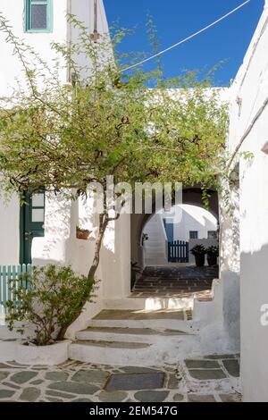 Rue Narrowi à Castro (Kastro), la partie la plus ancienne de la ville de Chora sur l'île de Folegandros. Cyclades, Grèce Banque D'Images