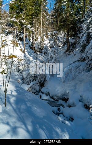 Winter im Bregenzerwald mit vereistem Bach im verschneiten Wald. Hivernent dans la forêt de Bregenz avec un ruisseau glacé dans la forêt enneigée. Cascade et soleil Banque D'Images