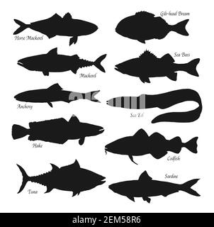 Silhouettes noires de poisson. Animaux marins chinchard, dorade à tête dorée ou achigan et anchois, anguille de mer, thon, merlu, morue et sardine. Types de poissons, Illustration de Vecteur