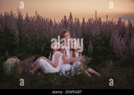 La jeune mère embrasse ses deux filles parmi un champ de sauge en fleur pourpre. Vêtu de blanc avec des chapeaux en paille. La femme embrasse avec amour les filles, les coups, le baiser Banque D'Images