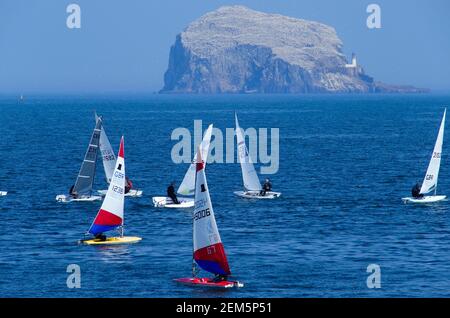 Voile Dinghies course à North Berwick, Bass Rock en arrière-plan Banque D'Images