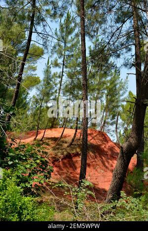 Célèbres falaises de l'ocre à Roussillon, situé à 10 kilomètres à l'ouest d'Apt et à 50 kilomètres d'Avignon dans la région Provence en France Banque D'Images