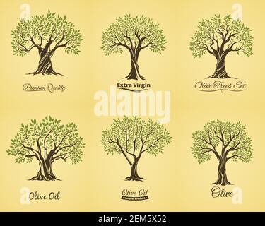 Silhouette d'oliviers avec des feuilles vertes sur les branches, ensemble d'icônes vectorielles isolées. Emblèmes d'usine d'extraction d'huile d'olive. Boutique de production de pétrole naturel, nourriture Illustration de Vecteur