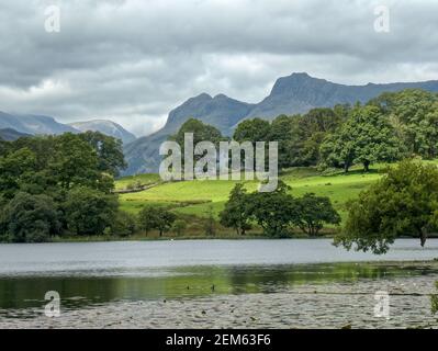 Loughrigg Tarn et les Langdale Pikes en été Banque D'Images