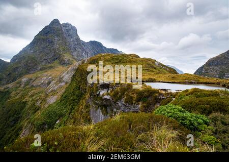 Milford Track MacKinnon Pass, Nouvelle-Zélande Banque D'Images