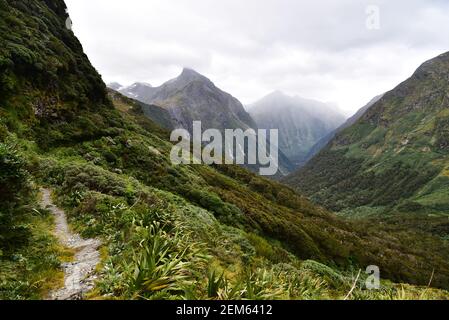 Milford Track MacKinnon Pass, Nouvelle-Zélande Banque D'Images