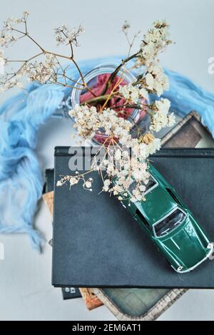 Une petite voiture sur le dessus des livres avec pot de fleurs Banque D'Images