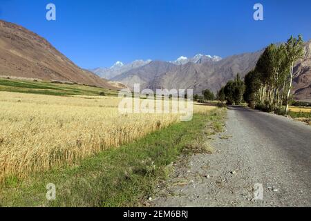 Route et champ dans la vallée de Wakhan, la région de Gorno-badakhshan, le Tadjikistan et la frontière afghane Banque D'Images