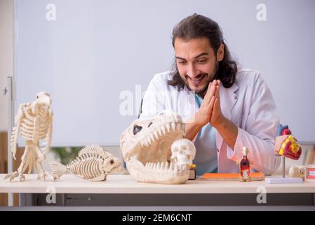 Jeune paléontologue devant le tableau blanc Banque D'Images