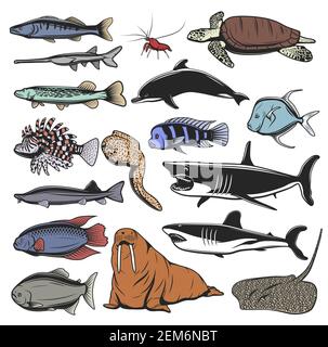 Personnages de dessins animés isolés d'animaux de mer, de poissons et de tortues. Tortue de mer vectorielle, requins de l'océan et dauphins, crevettes ou crevettes, raies, brochets et saumon, morse Illustration de Vecteur