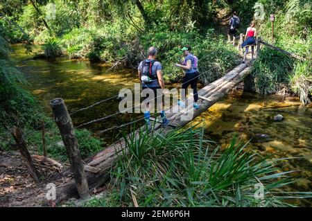 Randonneurs traversant un pont étroit en rondins au-dessus d'une rivière au milieu de Trilha das Cachoeiras (sentier des chutes d'eau) dans le parc de la propriété Serra do Mar. Banque D'Images