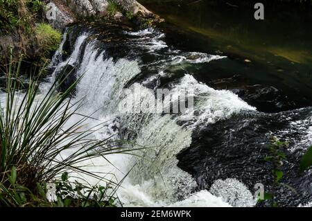 Eaux de la rivière Paraibuna créant une petite cascade. C'est l'une des nombreuses cascades de la rivière qui s'étend au milieu de la jungle dense de Sea Ridge . Banque D'Images