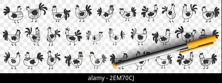 Ensemble de caniche pour poules et coqs. Collection de silhouettes noires dessinées à la main de poules et de coqs de ferme en rangées pour l'agriculture sur des terres agricoles isolées sur fond transparent Illustration de Vecteur