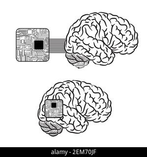 Arrière-plan microscheme du cerveau Illustration de Vecteur