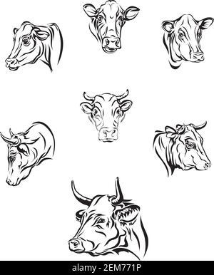 Vache, vecteur, portrait, silhouette, animaux, conception Illustration de Vecteur