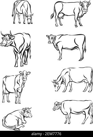 Vache, vecteur, portrait, silhouette, animaux, conception Illustration de Vecteur