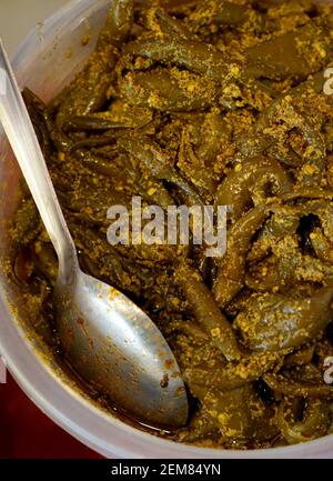 Vue rapprochée de la cuisine indienne de la rue, cornichon traditionnel au piment vert Banque D'Images