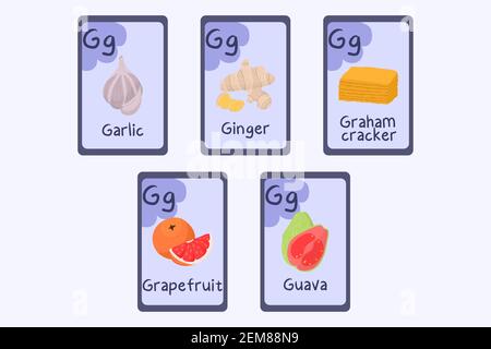 Carte-éclair Phonics colorée lettre G - ail, gingembre, papillote graham, pamplemousse, goyave. Cartes ABC sur le thème de la nourriture pour enseigner la lecture avec les aliments, les légumes, les fruits et les noix. Série ABC. Illustration de Vecteur