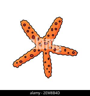 Vector vectorisation de la bande dessinée étoile de mer colorée ou Starfish avec les yeux, sourire. Doodle invertébrés marins de la mer ou de l'océan de couleurs orange vives. Isola Illustration de Vecteur