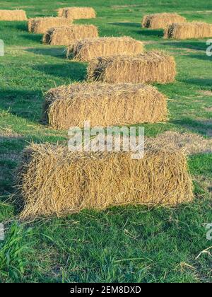 Sièges et tables faits de balles de paille pour l'événement et la fête posés sur la pelouse. Pailles de chaume décorées pour s'asseoir dans la campagne. Mobilier fait Banque D'Images