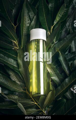 Fond de plantes avec une bouteille verte avec des cosmétiques naturels pour les cheveux et le soin du corps avec des huiles et des extraits organiques. Soin de peau bio à base de plantes conc Banque D'Images