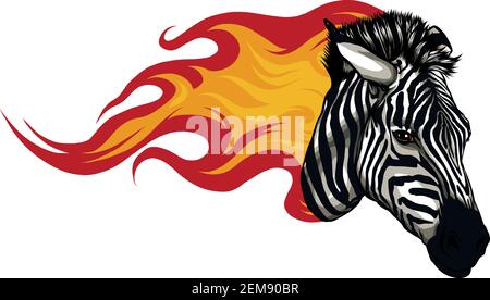 tête zebra avec illustration Flames Vector Illustration de Vecteur