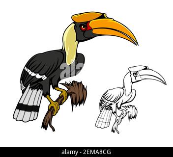 Rhinocéros oiseau de charme assis sur la branche. Kalao oiseau animal des forêts tropicales et de montagne avec grand bec jaune, plumage blanc noir sur le tai Illustration de Vecteur
