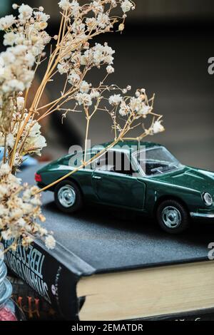 Une petite voiture sur le dessus des livres avec pot de fleurs Banque D'Images
