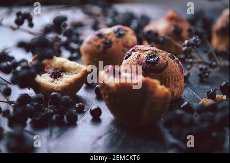 muffin aux raisins de corinthe sur fond sombre à côté des baies sur les branches. dans un style rustique. style sombre Banque D'Images