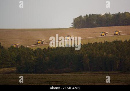 Les camions à benne basculante A40E et A40F de Yellow Volvo se déversent sur la terre dans un convoi qui dépoussiérera en traversant la plaine de Salisbury, dans le Wiltshire Banque D'Images