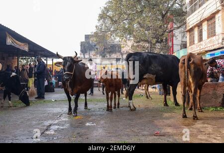 Haridwar, Uttarakhand, Inde, février 2021: Une vue sur le marché de rue dans la ville de Haridwar près de Har ki Pauri Banque D'Images