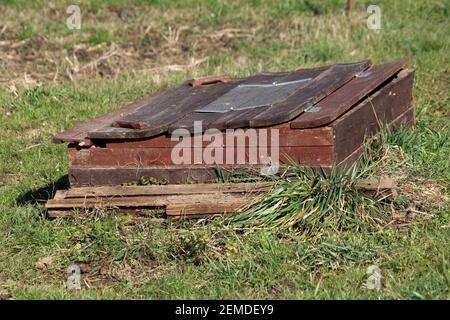 Boîte de rangement en bois improvisée faite maison en bois fissuré planches dans le jardin local de la maison urbaine entouré d'herbe et plantes de jardin Banque D'Images