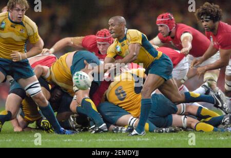 COUPE DU MONDE DE RUGBY 2007. PAYS DE GALLES V AUSTRALIE AU MILLENNIUM STADIUM CARDIFF. 15/9/2007. GEORGE GREGAN. PHOTO DAVID ASHDOWN Banque D'Images