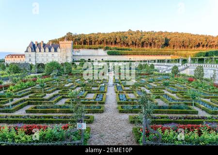 France, Indre et Loire, vallée de la Loire classée au patrimoine mondial de l'UNESCO, le château et les jardins de Villandry, le Potager et le château de l'ev Banque D'Images