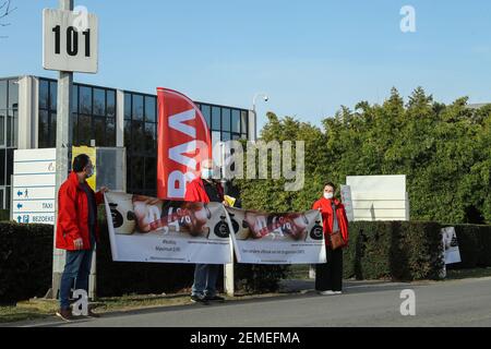 L'illustration montre une action des syndicats et du parti d'extrême gauche PTB-PVDA, dans le voisinage de plusieurs compagnies pharmaceutiques, à Puurs, Banque D'Images