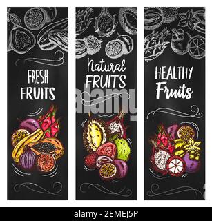 Banderoles vectorielles de fruits exotiques avec croquis pitahaya, mangoustan et papaye, figues, durian avec carambola, goyave, lychee et fruit de la passion. Dessin à la main Illustration de Vecteur