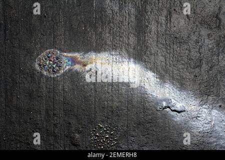 Artistique, abstrait, icône en forme de cachalot coloré, déversement d'huile de couleur arc-en-ciel sur béton foncé dans la rue de la ville; photo d'arrière-plan en couleur. Banque D'Images