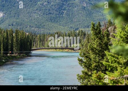 Sentier de la rivière Bow en été, jour ensoleillé, Mont Norquay en arrière-plan. Parc national Banff, Rocheuses canadiennes. Alberta, Canada. Banque D'Images
