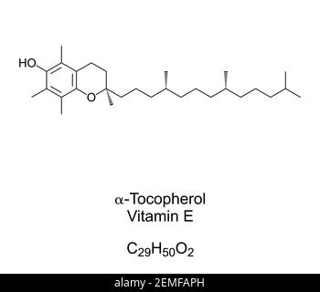 Alpha-tocophérol, formule chimique de la vitamine E et structure squelettique. Type de vitamine E absorbé et accumulé de préférence chez l'homme. Banque D'Images
