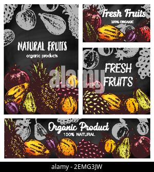 Affiches vectorielles de fruits frais, ananas naturel, grenade, abricot ou raisins avec prune. Poire biologique, mangue, orange et pomme avec avocat. H Illustration de Vecteur