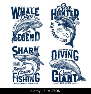 Imprimés de t-shirts avec requin-tête hummer, épaulards et baleines bleues, mascottes vectorielles pour la pêche, la plongée ou club marin. Animaux prédateurs de mer, aventure sur l'océan Illustration de Vecteur