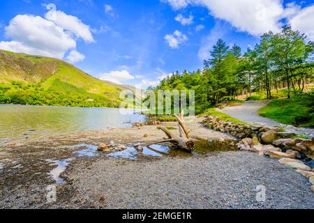 Vue panoramique sur le lac de Buttermere vers Buttermere est tombé dessus une journée d'été ensoleillée avec un vieux tronc d'arbre blanchi au soleil piquant sur le rivage Banque D'Images