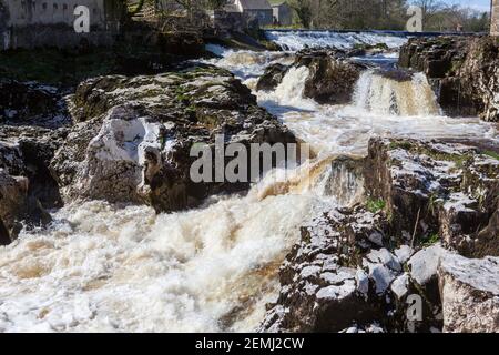 Linton Falls, une cascade pittoresque sur la rivière Wharfe près de Grassington dans les Yorkshire Dales Banque D'Images