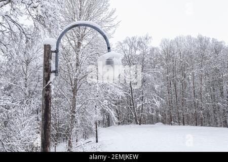 Lanterne dans le parc. Hiver, paysage enneigé. Photo de haute qualité Banque D'Images